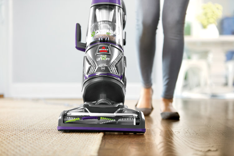 The Best Upright Vacuums for TotalHome Cleaning Wayfair
